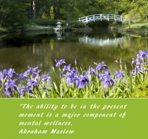 Mindfullness